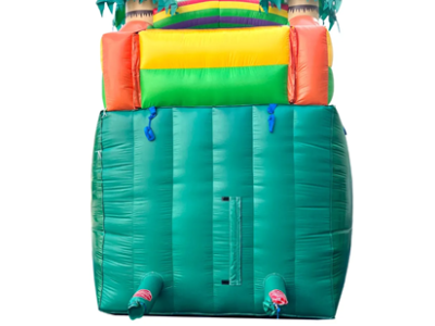 Tropical Inflatable Slides