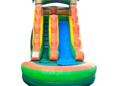 Tropical Inflatable Slide