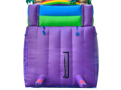 Inflatable Purple Slide Rental
