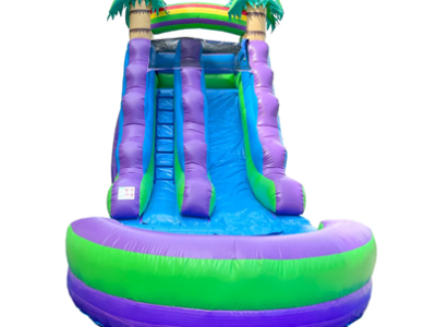 Inflatable Purple Slide Rentals